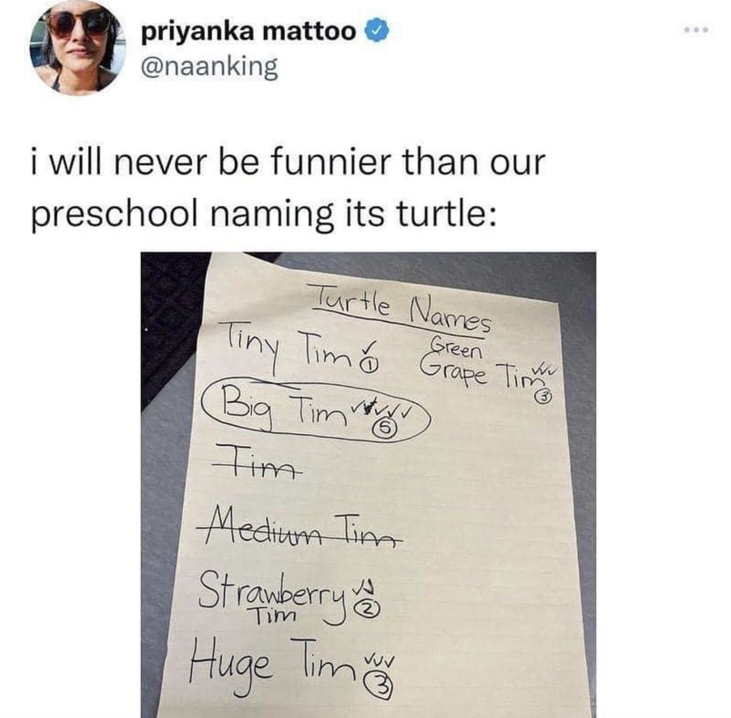 handwriting - priyanka mattoo i will never be funnier than our preschool naming its turtle Turtle Names Green Tiny Tim Grape Tim Big Tim Tim Medium Tim Strawberry Tim Huge Tim